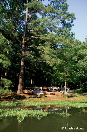 Martin Dies, Jr. State Park