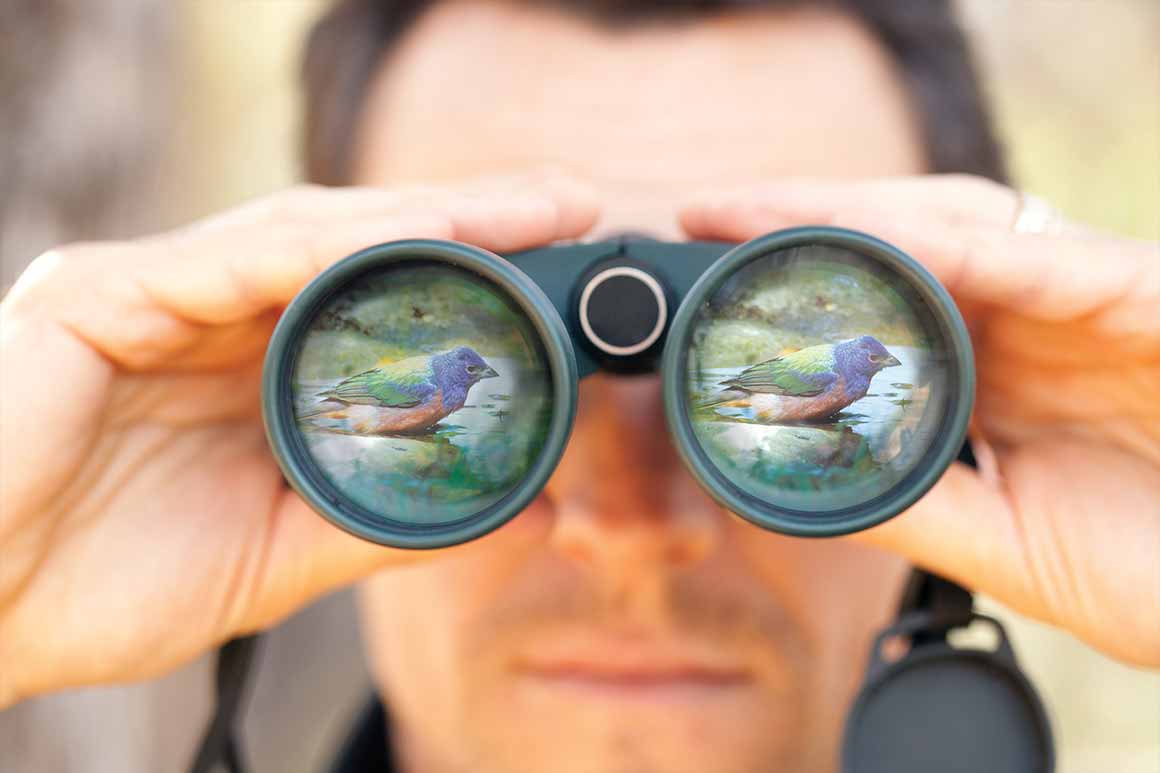 Birding in Texas State Park